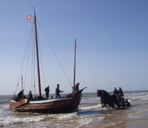 Paard en wagen staan klaar