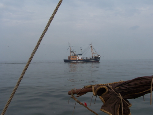 Blakte op weg naar Den Helder