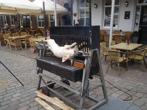 Varken aan het spit, vuur moet nog aan